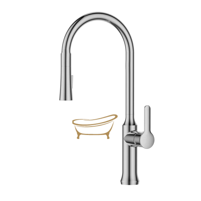 ברז מטבח נשלף 2 מצבי זרימה