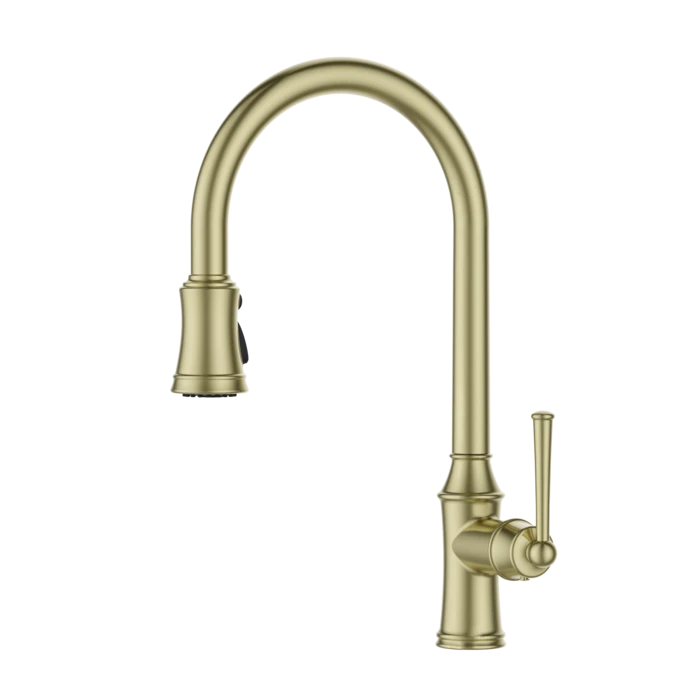 ברז מטבח נשלף 2 מצבי זרימה