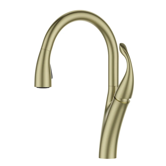 ברז מטבח נשלף 2 מצבי זרימה