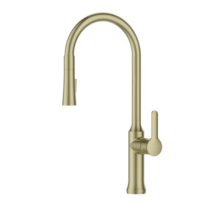 ברז מטבח נשלף 2 מצבי זרימה