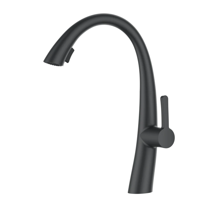 ברז מטבח נשלף 2 מצבי זרימה