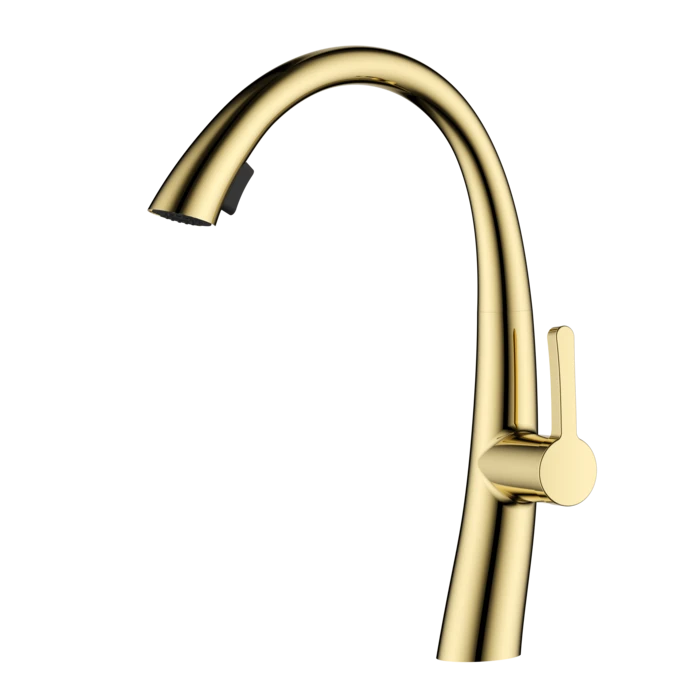 ברז מטבח נשלף 2 מצבי זרימה