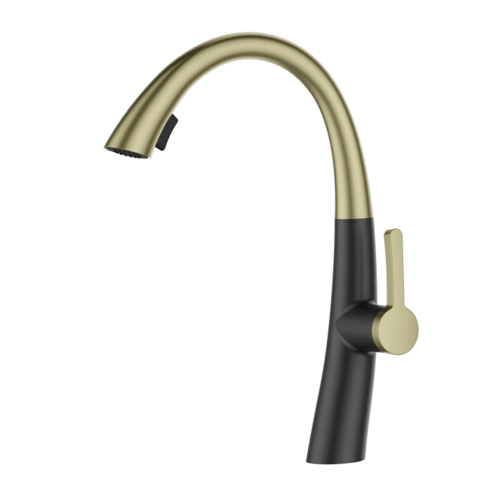 ברז מטבח נשלף 2 מצבי זרימה