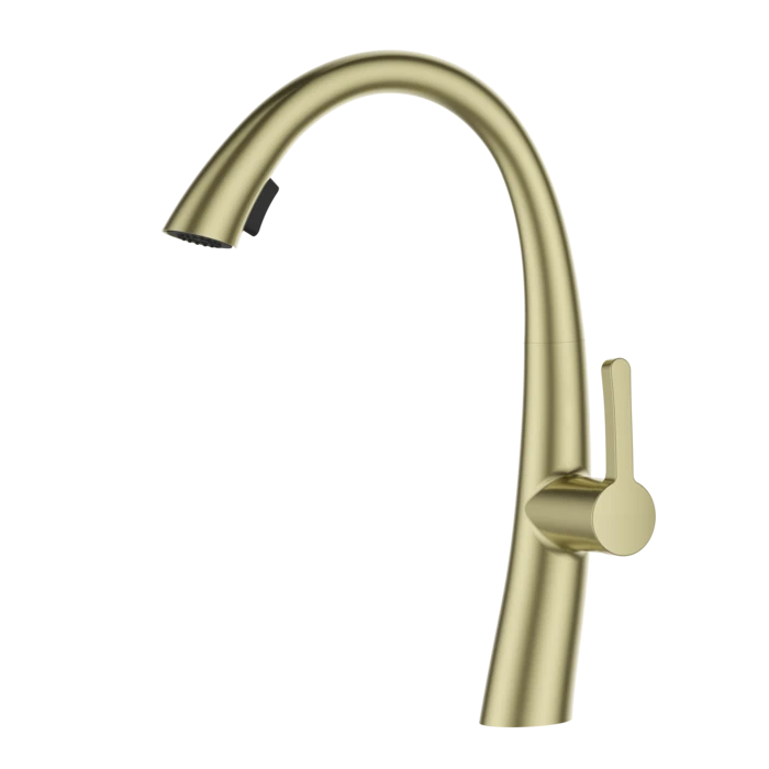 ברז מטבח נשלף 2 מצבי זרימה