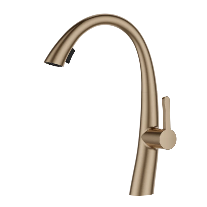 ברז מטבח נשלף 2 מצבי זרימה